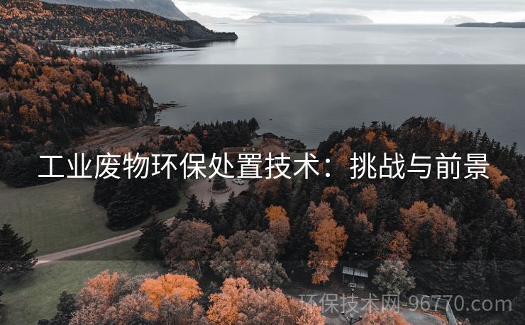 工業(yè)廢物環(huán)保處置技術(shù)：挑戰(zhàn)與前景